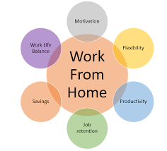 WFH roles offer clear career growth for beginners.